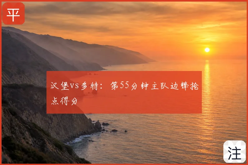汉堡vs多特:第55分钟主队边锋抢点得分